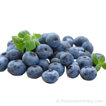 Blueberry anggur memproses jalur produksi anggur buah